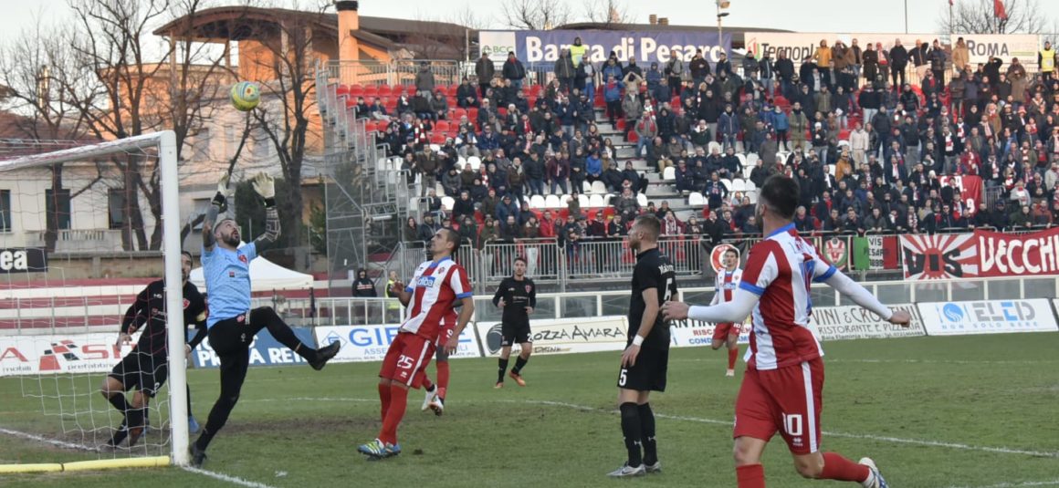 VIS PESARO – TRIESTINA: 0-1; RISULTATO INGIUSTO E IMMERITATO! VIS PESARO – TRIESTINA: 0-1; RISULTATO INGIUSTO E IMMERITATO!