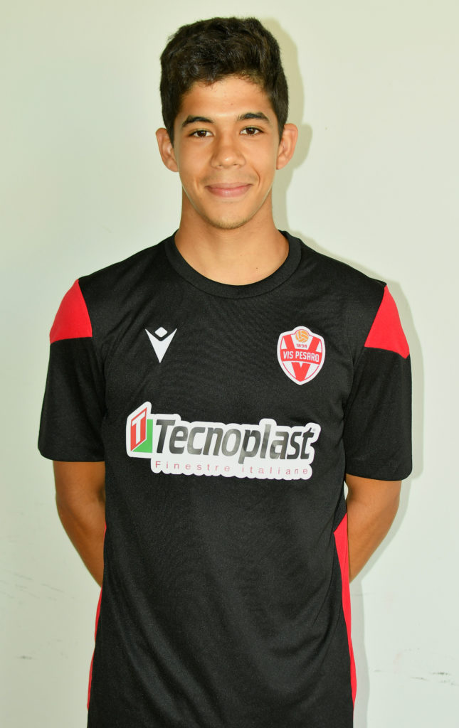 Mattia Gaudenzi