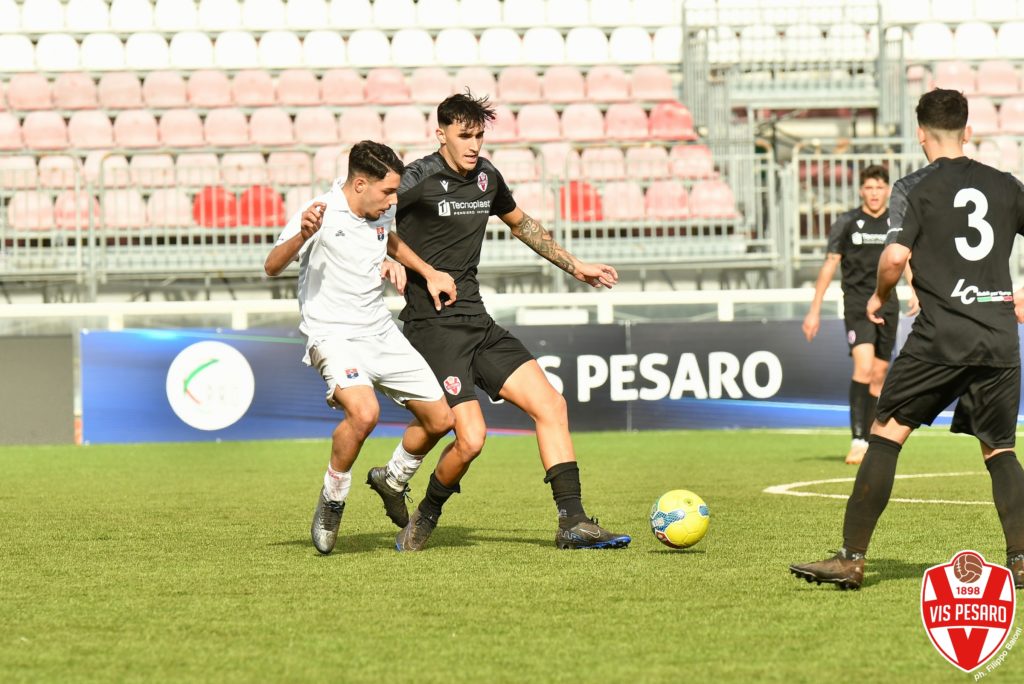 primavera vis pesaro taranto